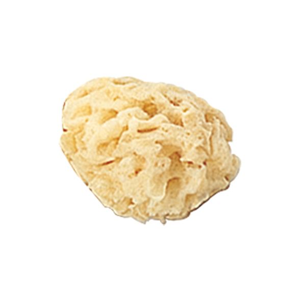 天然海綿 小 顔用