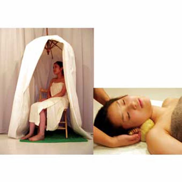 ハーブボールボディテクニカル DVD