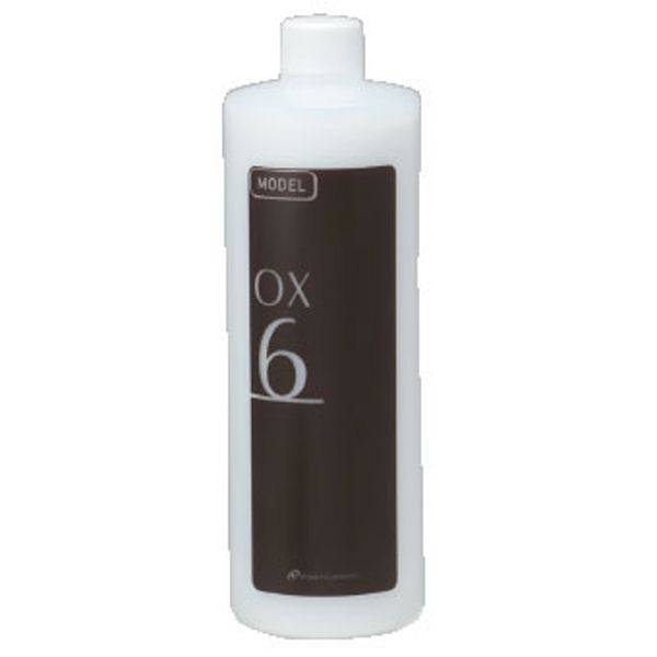 香栄化学 モデルオキシ 6% 1L