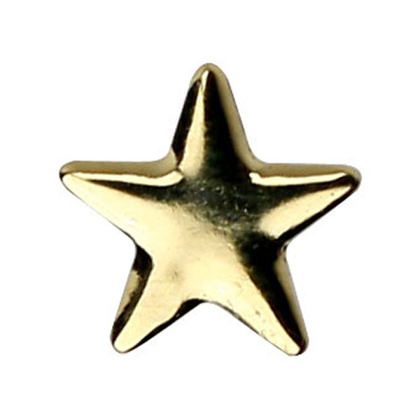 ピアドラ スタッズ メタルスター ゴールド