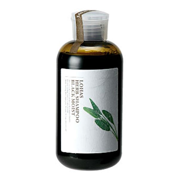 テクノエイト ブリーズベール ロハス ハーブシャンプー ブラックモイスト  300ml