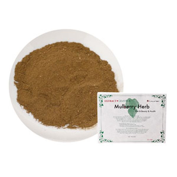 ＊EXTRACT 桑の葉茶 240g(4g×60袋)