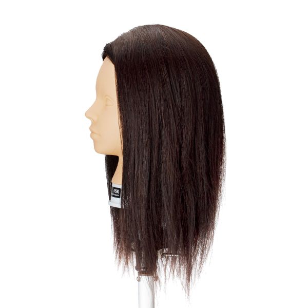 ユーロプレステージ カットウィッグ iP500(メイク無しタイプ・人毛100%)