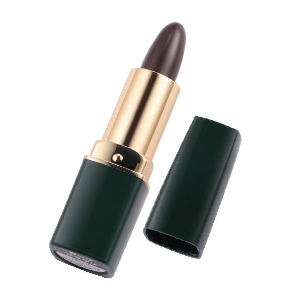 ヘアカラースティック ダークブラウン 4g