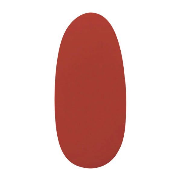 パラジェル アートカラージェル AC4 ブランデーレッド 4g