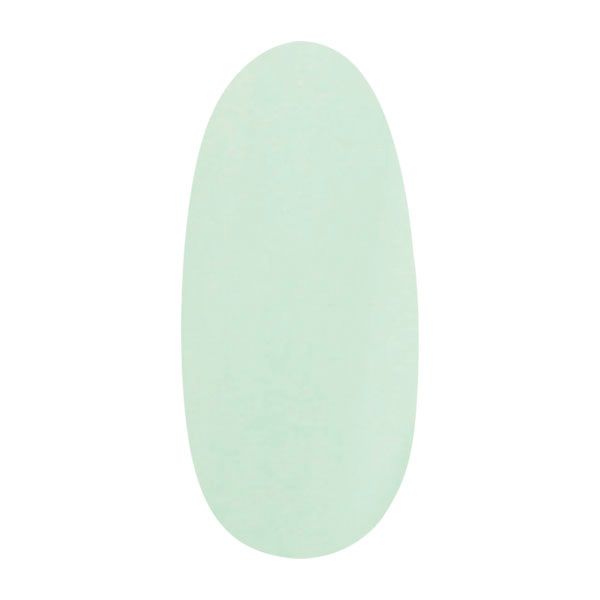 プティール カラージェル 309 スウェーディッシュミント 2g