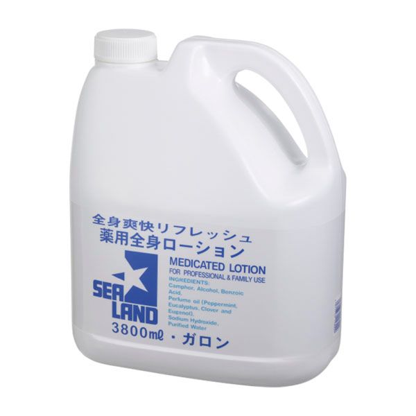 インターコスメ シーランド ポンプ付  3.8L