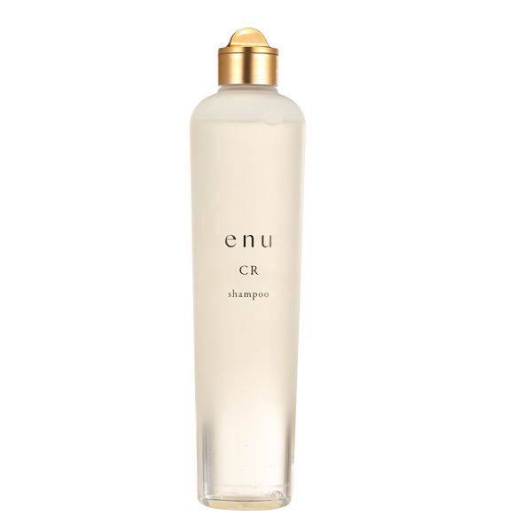 中野製薬 エヌ シャンプー CR 300ml