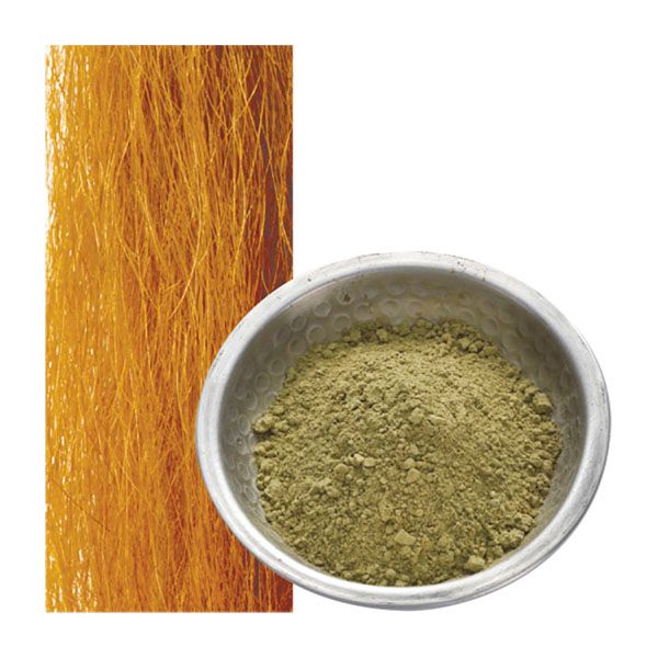 ジャパンヘナ ティーブラウン 100g