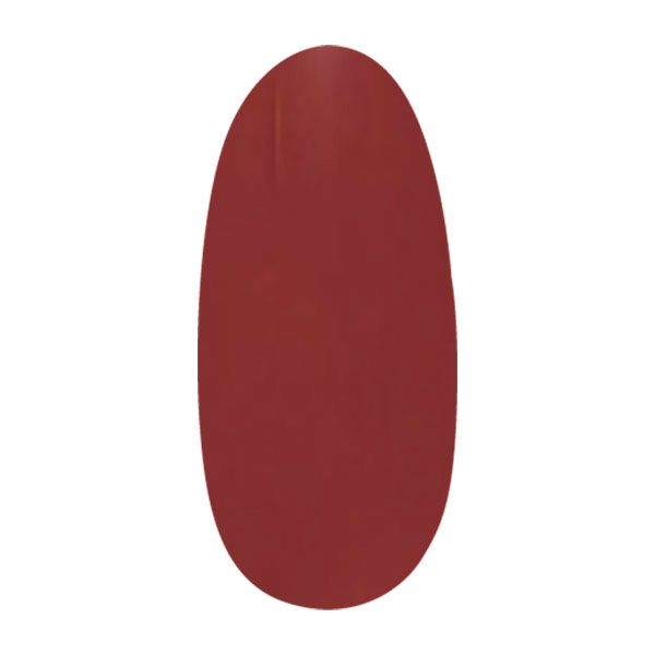 パラジェル アートカラージェル AMD51 ジンジャーオレンジ 4g