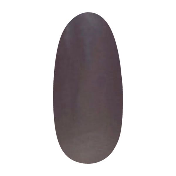 パラジェル アートカラージェル C006 ストームグレー 4g