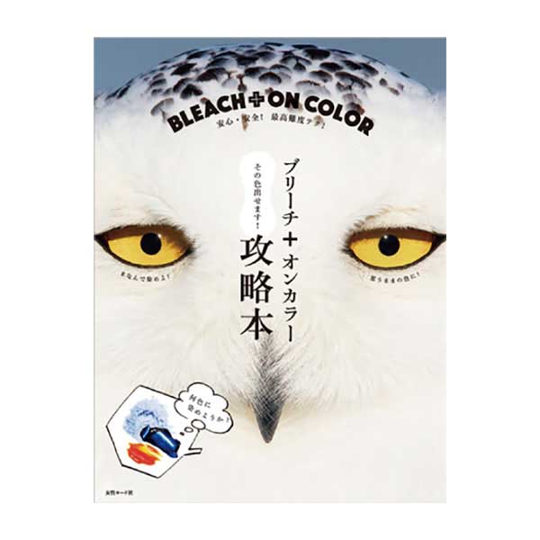 ブリーチ+オンカラー 攻略本