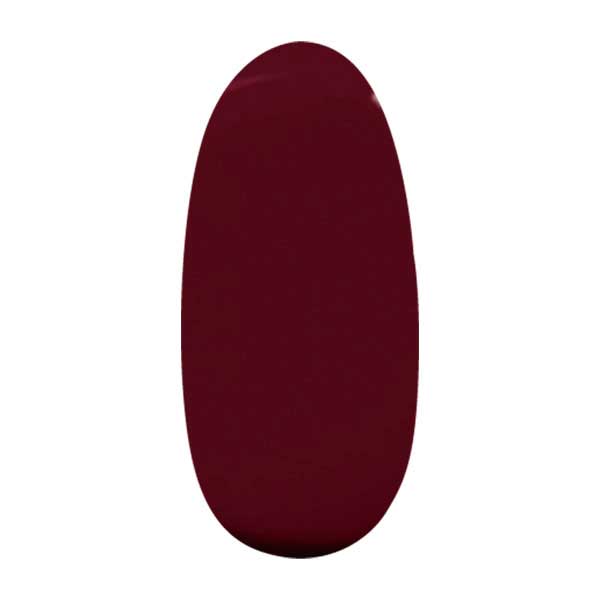 パラジェル アートカラージェル S067 カシスルージュ 4g