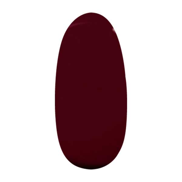 パラジェル アートカラージェル S069 ディーププラム 4g