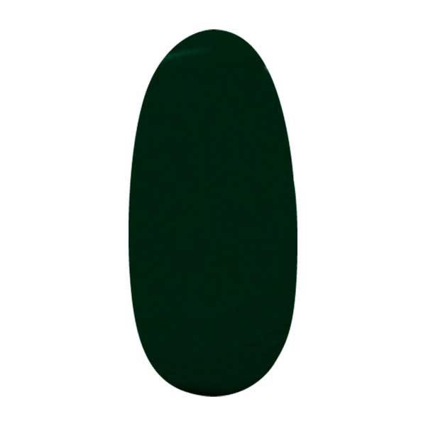 パラジェル アートカラージェル P024 ルミナスブラック 4g