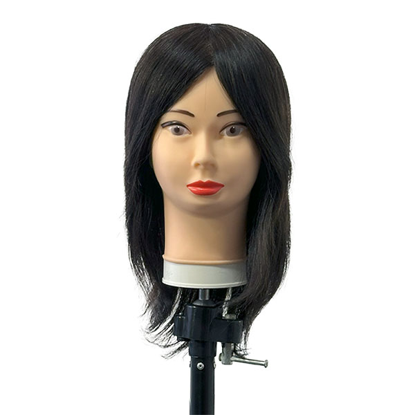 国家試験練習用ウイッグ