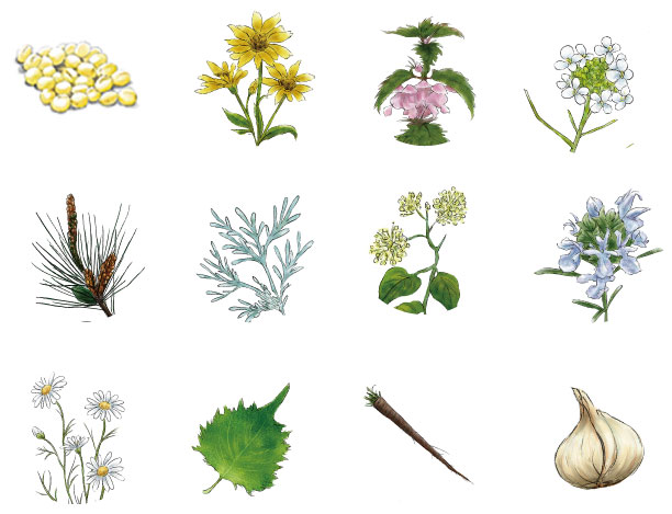 MYUNAS リッチタイプ 配合成分