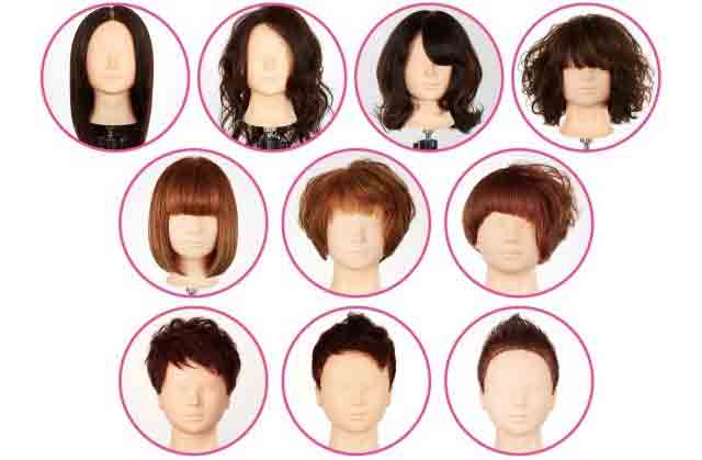 ウィッグ10点の写真